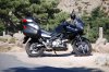 Corse 2009 137.jpg
