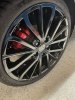 IMG_3366.jpeg