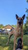PXL_20250810_142121364.jpg
