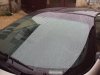 DSC02702.jpg