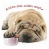 sharpei.jpg