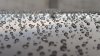 20160510_203946.jpg