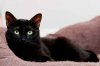 IMG_5988_DxO (Copier).jpg