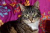 IMG_6065_DxO (Copier).jpg