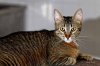 IMG_6088_DxO (Copier).jpg