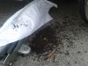 20161017_110153.jpg