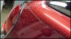 20161109_141808_HDR-01.jpeg