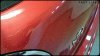 20161109_141845_HDR-01.jpeg