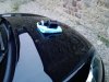 IMG_20161126_170044.jpg
