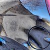 IMG_20170121_232239_891.jpg