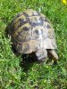 IMG_20160703_155603.jpg