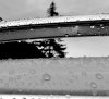 IMG_6699.JPG