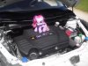 IMG_20160706_115524.jpg