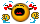 zpleur.gif