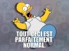tout-ceci-est-parfaitement-normal.jpg