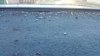 20170927_174025.jpg