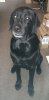 werther.JPG