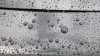 20180520_155424.jpg