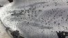 20180520_155434.jpg