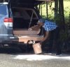 pics_074_clean_790-6.jpg