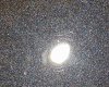 20190716_155907.jpg