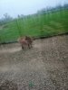 IMG_20201130_171013.jpg