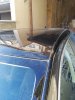 IMG_20201128_093826.jpg