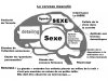 cerveau-de-lhomme-et-de-la-femme-2-728__01.jpg