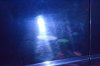 68FA0F8E-C010-4720-B5DC-902AD55AF8CF.jpeg