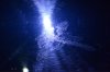 75BD54A8-61BD-45FD-88D7-A90D809B16E8.jpeg