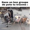 FB_IMG_1620675672978.jpg