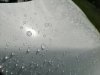 IMG_20220411_160843.jpg