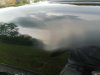 IMG_20220501_144520.jpg