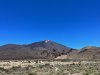 IMG_1257.jpg