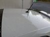 PXL_20220806_052757377.jpg