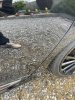 IMG_2769.jpeg