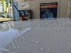PXL_20230524_133237985.jpg