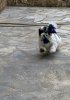 IMG_2300.jpeg