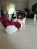 IMG_2308.jpeg
