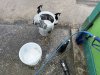 IMG_0548.jpeg