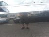 20150625_133934.jpg