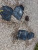 IMG_0652.jpeg