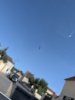 PXL_20260811_150621821.RAW-01.jpg