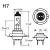 ampoule_h7.jpg