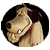 181978 chien ricane.gif