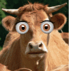 121204030115515642.gif