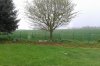20160426_134049A.jpg