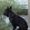 Doug